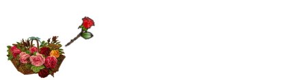 :0081.gif